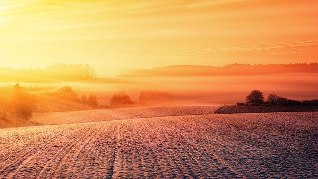 Nowe technologie w produkcji i stosowaniu herbicydów